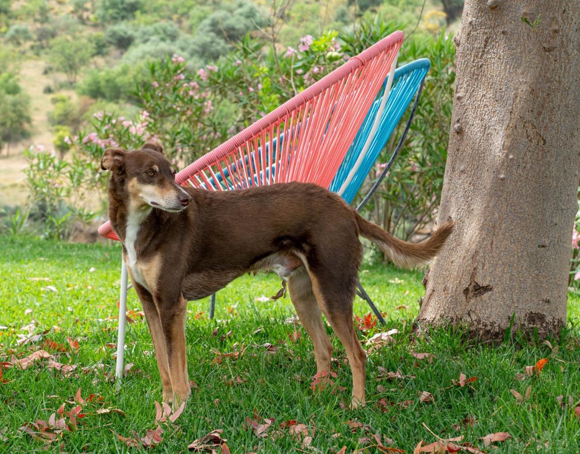 Finca Las Hierbas B&B Эль-Чорро Экстерьер фото