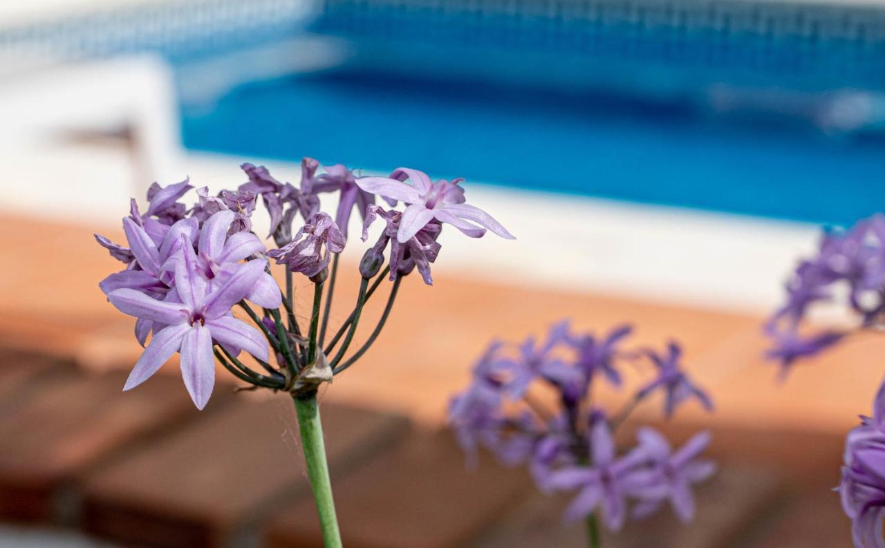 Finca Las Hierbas B&B Эль-Чорро Экстерьер фото