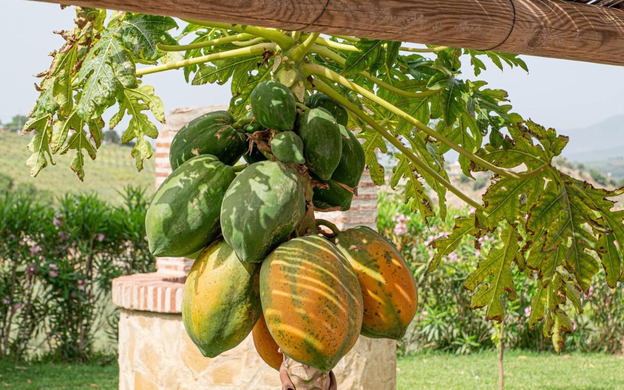 Finca Las Hierbas B&B Эль-Чорро Экстерьер фото
