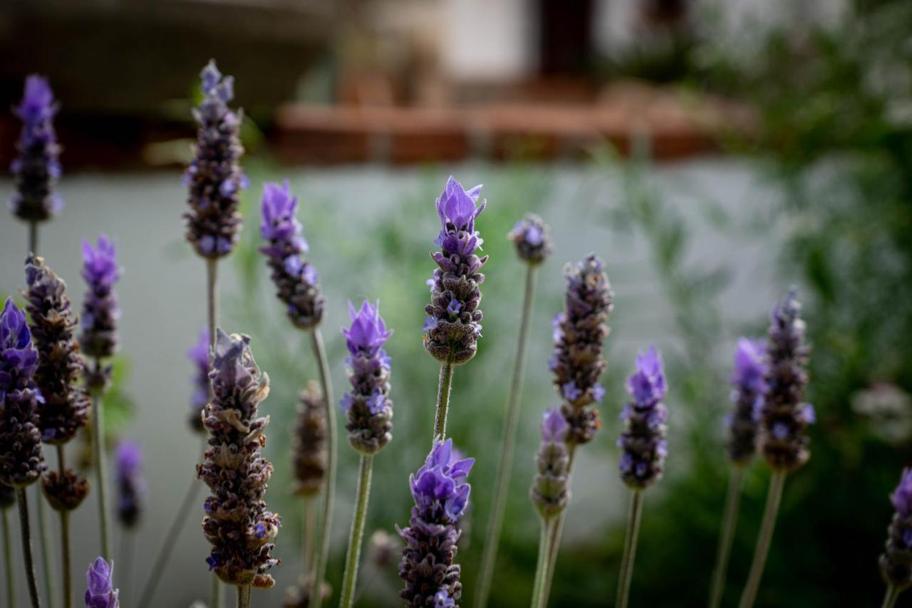 Finca Las Hierbas B&B Эль-Чорро Экстерьер фото
